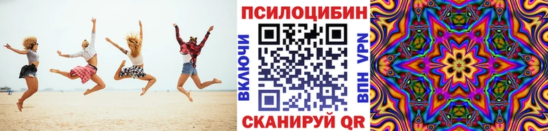 Купить где  Могоча  Галлюциногенные грибы Cubensis 